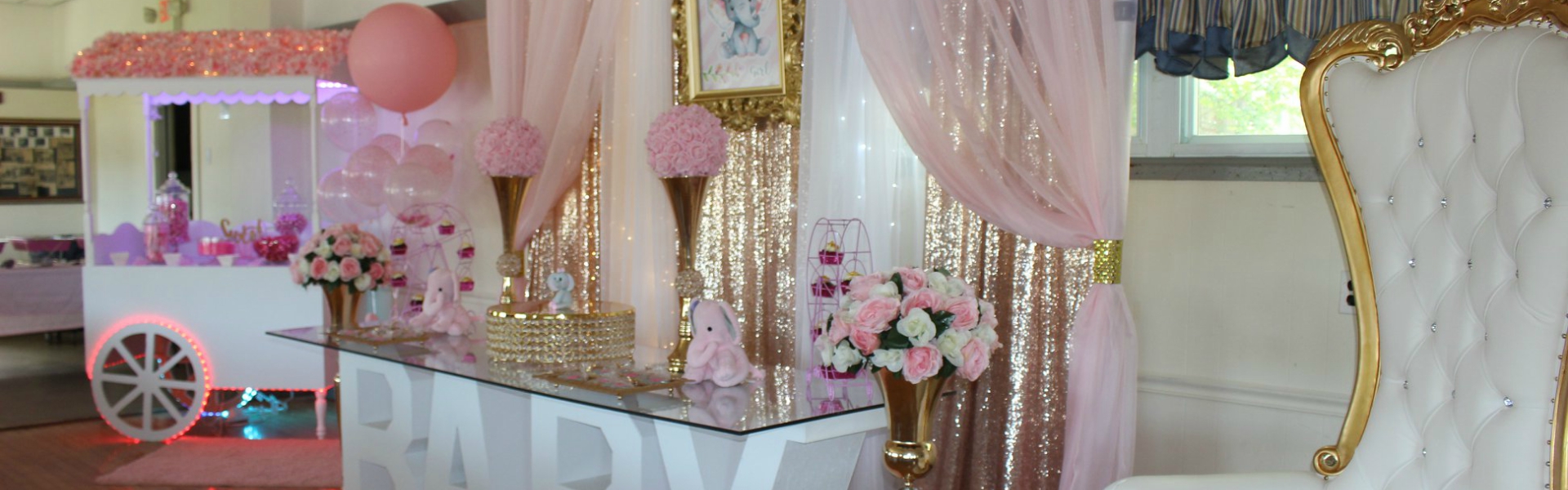 Brittany's Party Extravaganza - Gallery